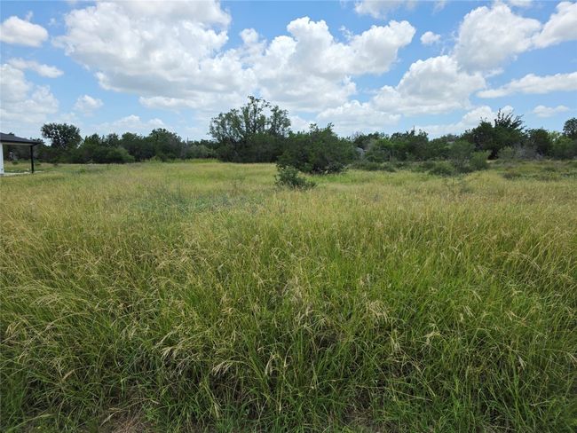 241 Spicewood Trails Dr, Home with 0 bedrooms, 0 bathrooms and null parking in Spicewood TX | Image 5