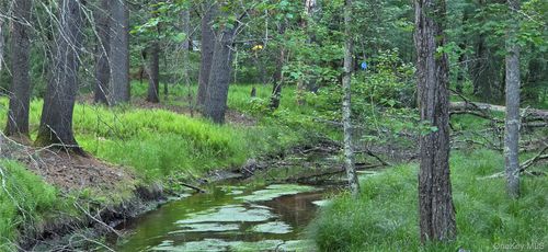 Lot 3.3 Old Tacy Road, Bethel, NY, 12720 | Card Image