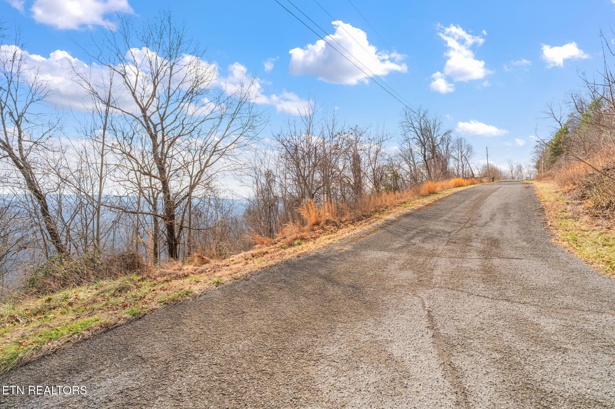 Land in Tazewell 4