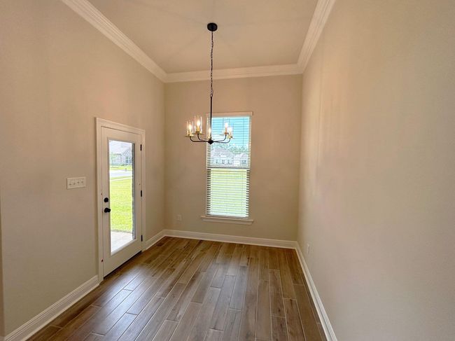 Picture21 copy | Image 9