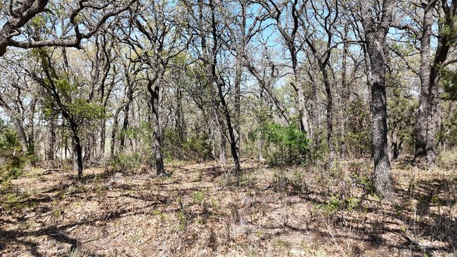 280 Private Road 2162, Home with 0 bedrooms, 0 bathrooms and null parking in Iredell TX | Image 8