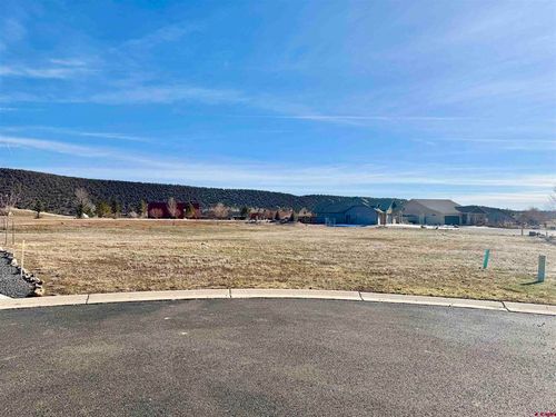 325 Se Limestone Ct, Cedaredge, CO, 81413-8443 | Card Image