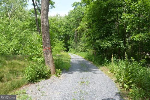 TWO LOTS ON Siler Road, Winchester, VA, 22603 | Card Image