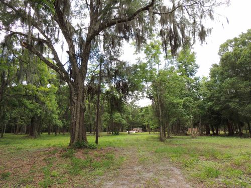 5195 Kelly Rd, Hastings, FL, 32145 | Card Image