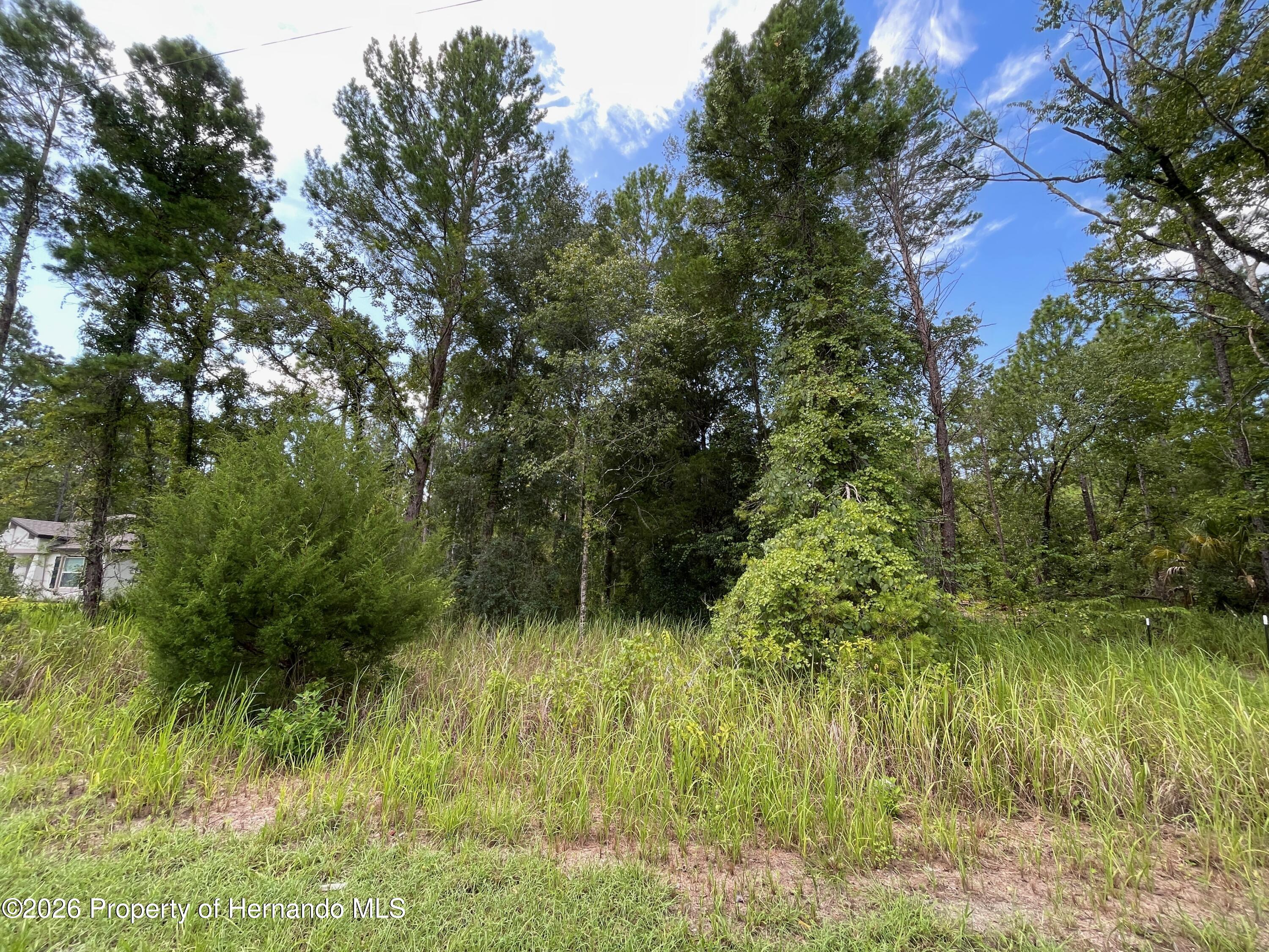 Land in Weeki Wachee 4