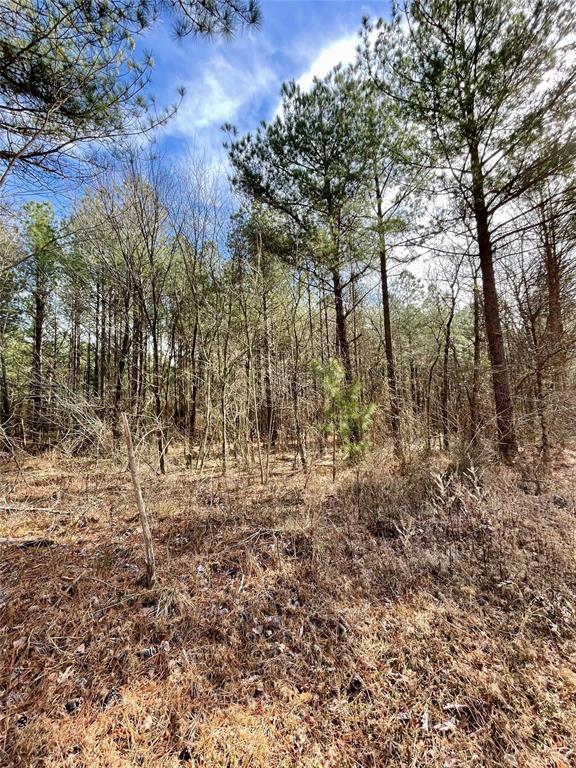 Land in Broken Bow 3