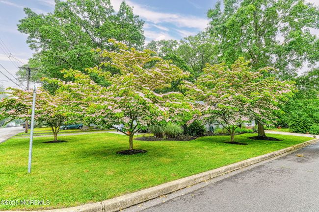 569 Atlantic Ave, House other with 4 bedrooms, 3 bathrooms and null parking in Spring Lake NJ | Image 27