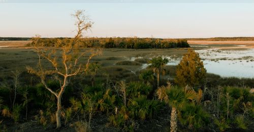 1124 Shipbuilding Way, Charleston, SC, 29405-2001 | Card Image