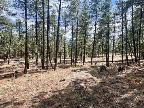 Lot 36 Spruce Loop, Jemez Springs, NM, 87025 | Card Image