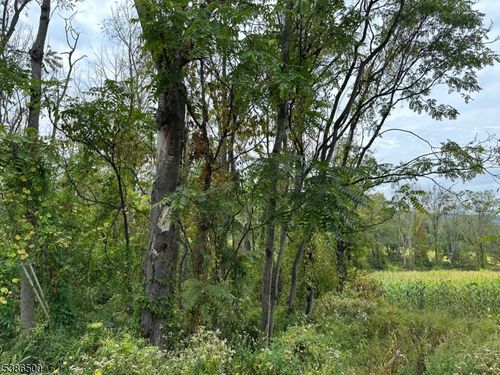 393 Mountain Lake Rd, Great Meadows, NJ, 07838-2342 | Card Image