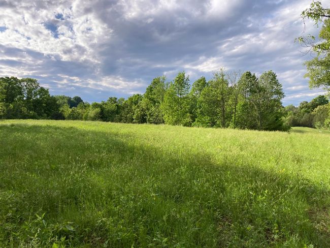 265 - 24265 S Mohawk Rd, Home with 0 bedrooms, 0 bathrooms and null parking in Mohawk TN | Image 4