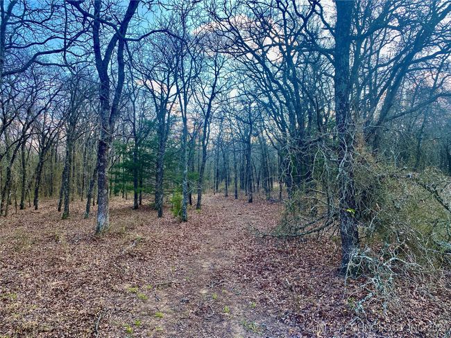 2 State Highway 76, Home with 0 bedrooms, 0 bathrooms and null parking in Wilson OK | Image 26