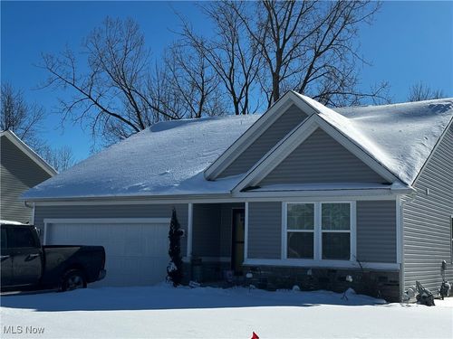 441 Community Ln, Painesville, OH, 44077 | Card Image