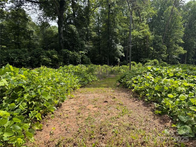 0000 Ranger Rd, Home with 0 bedrooms, 0 bathrooms and null parking in Clover SC | Image 4