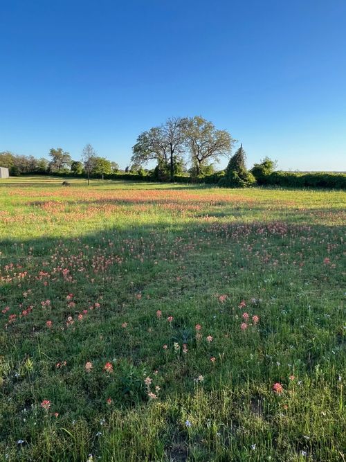 3951 Brushy Rd, Granbury, TX, 76048-5507 | Card Image