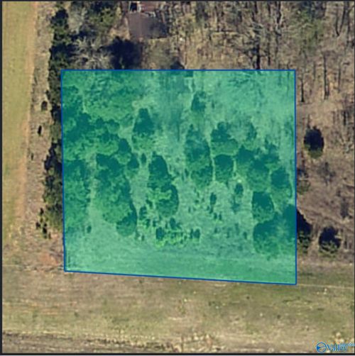 #0.80 Al Highway 24, Moulton, AL, 35650 | Card Image