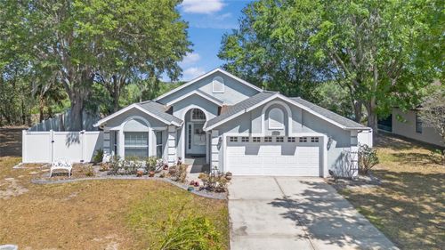 10339 Patrick Dr, LEESBURG, FL, 34788-3839 | Card Image