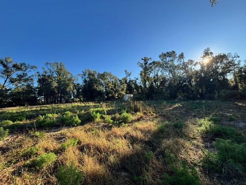 515 Ne Willow Bend Ter, Lee, FL, 32059-4993 | Card Image