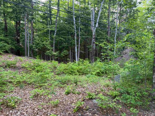 Map 5 Lot 20-4 Black Brook Road, Sanbornton, NH, 03269 | Card Image