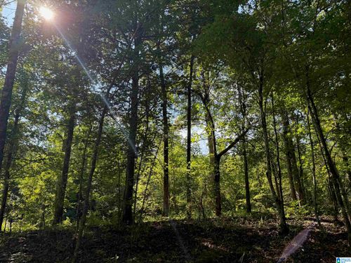 na-00 Cahaba Hill Rd, Brierfield, AL, 35035 | Card Image