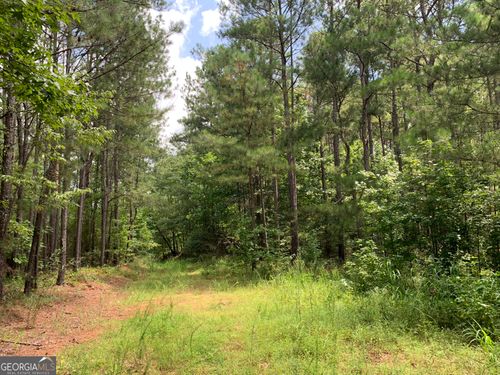 0 County Road 249, woodland, AL, 36280 | Card Image