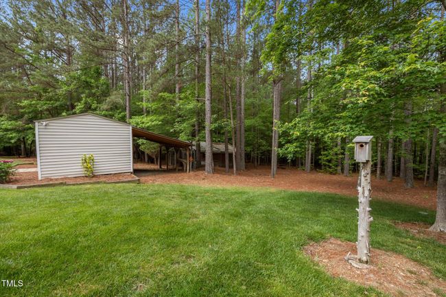 Backyard | Image 49