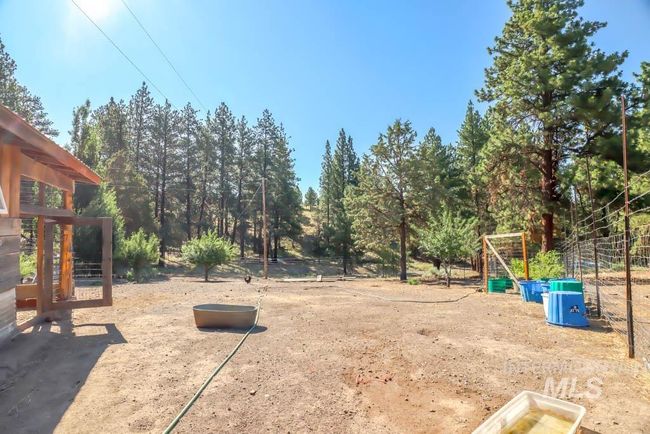 View of yard | Image 44