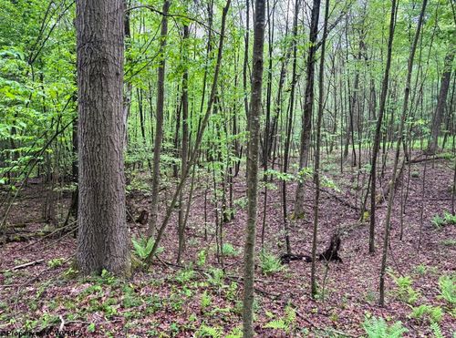 Lot 103 Laurel Loop, Bruceton Mills, WV, 26525-2203 | Card Image