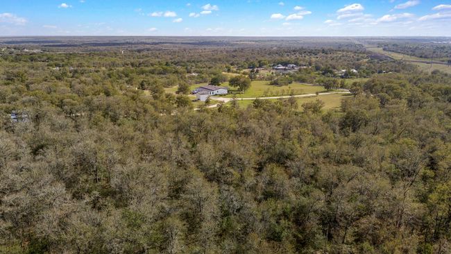 Drone / aerial view of a forest | Image 28