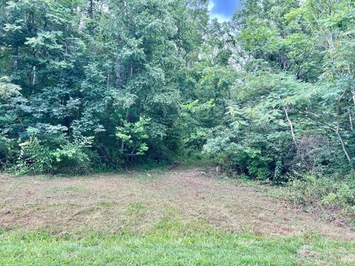 0 Ponton Ln, LOVINGSTON, VA, 22949 | Card Image