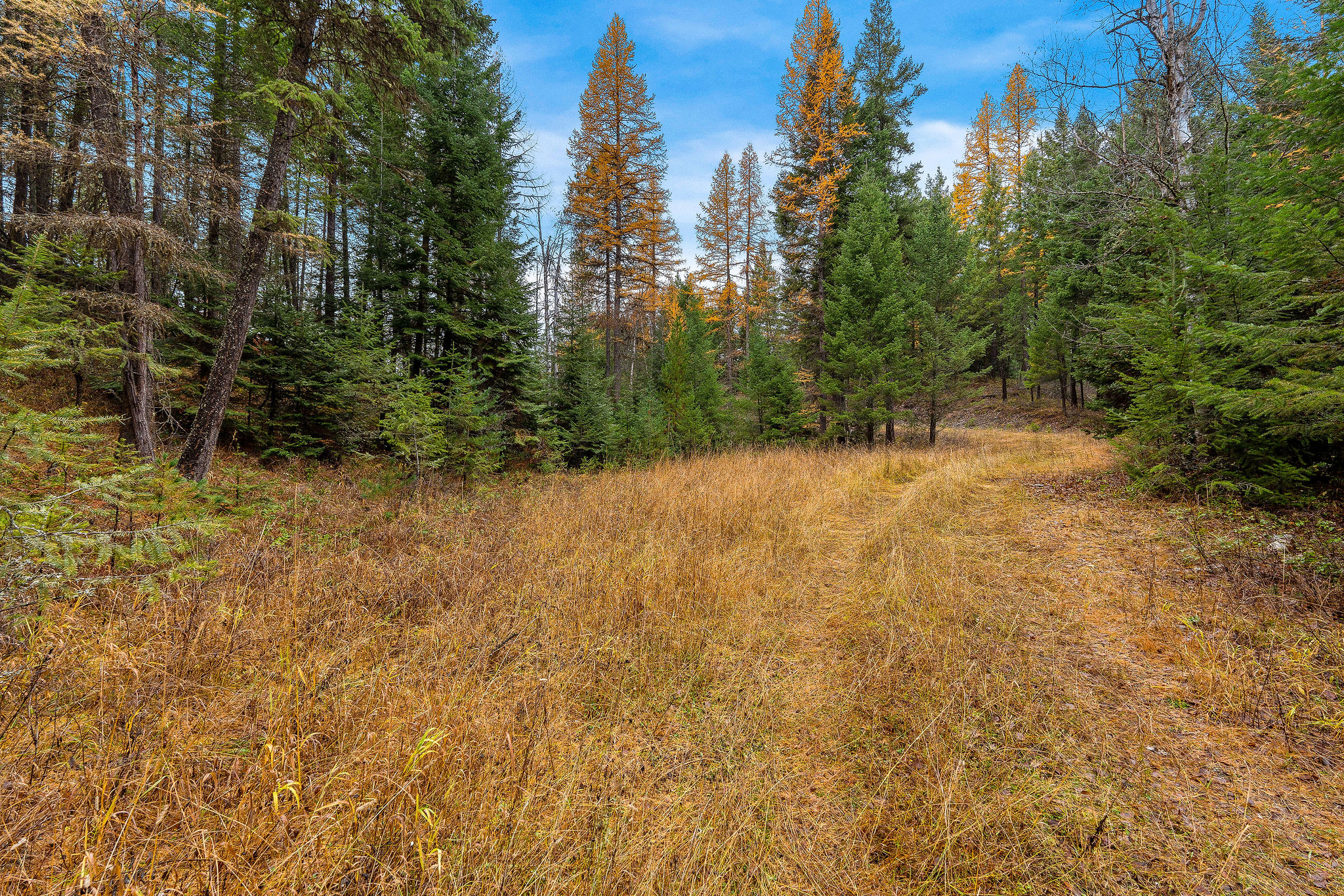 Land in Kalispell 3