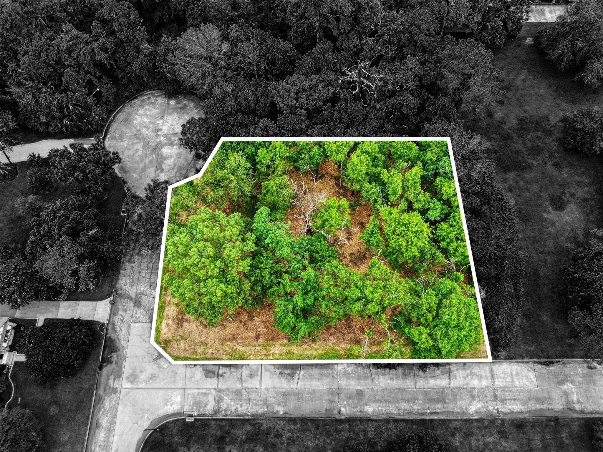 Land in Friendswood