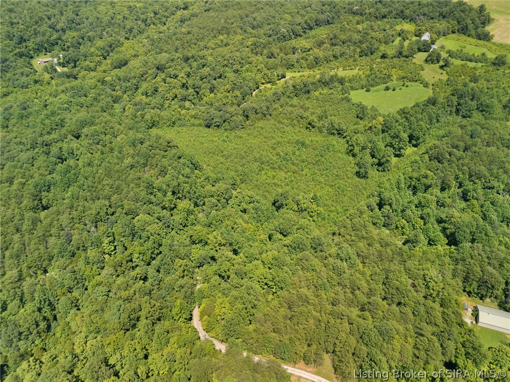 Land in Elizabeth 5
