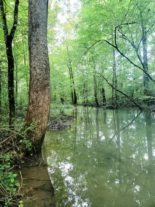 61243 Stone Cave Loop, Home with 0 bedrooms, 0 bathrooms and null parking in Dunlap TN | Image 41