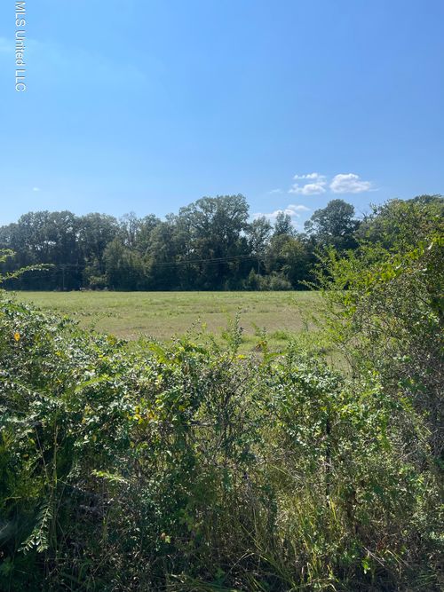 000 Browns Wells Rd, Wesson, MS, 39191 | Card Image