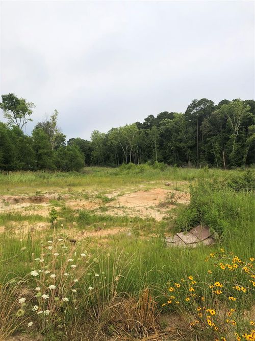 TBD Pan American Dr, Livingston, TX, 77351 | Card Image