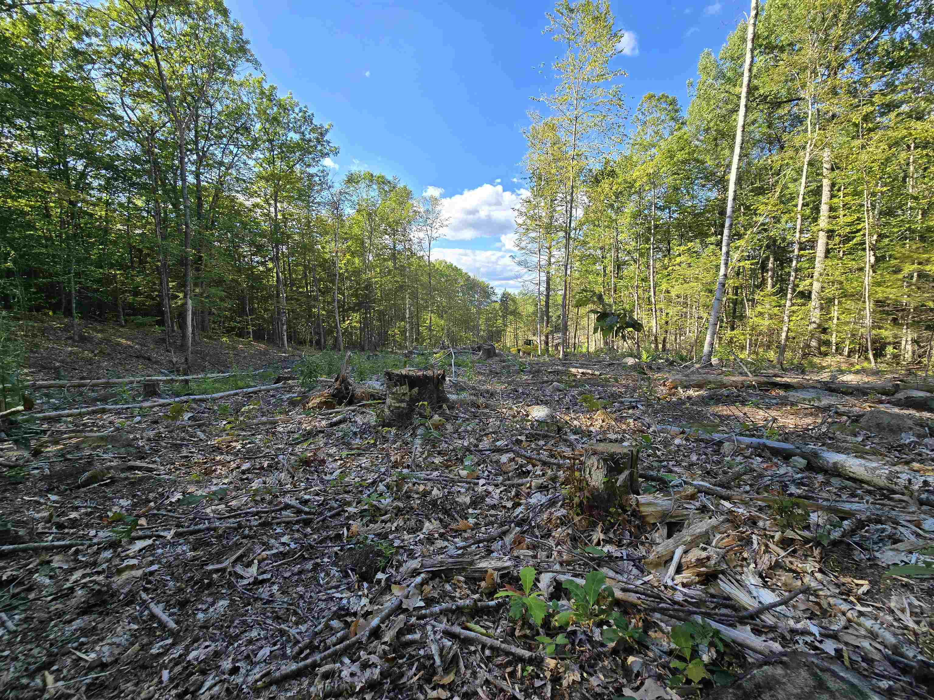 Land in New Durham 2