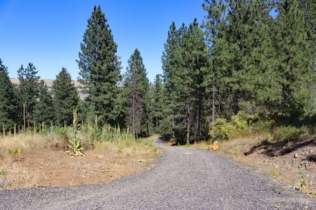 View of dirt / gravel road with a wooded view | Image 7