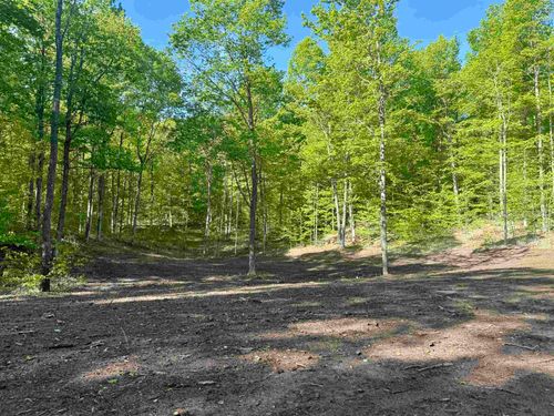 1474 E Solaris Way, Kasson Township, MI, 49664 | Card Image