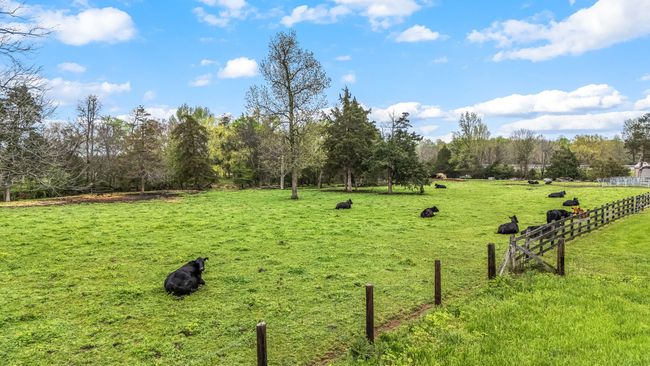The existing cattle on the property further demonstrate its viability for such purposes, making it a great opportunity for those looking to embark on or expand their farming endeavors. | Image 18