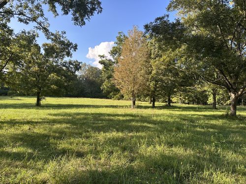 0 Clarksville Pike, Joelton, TN, 37080 | Card Image