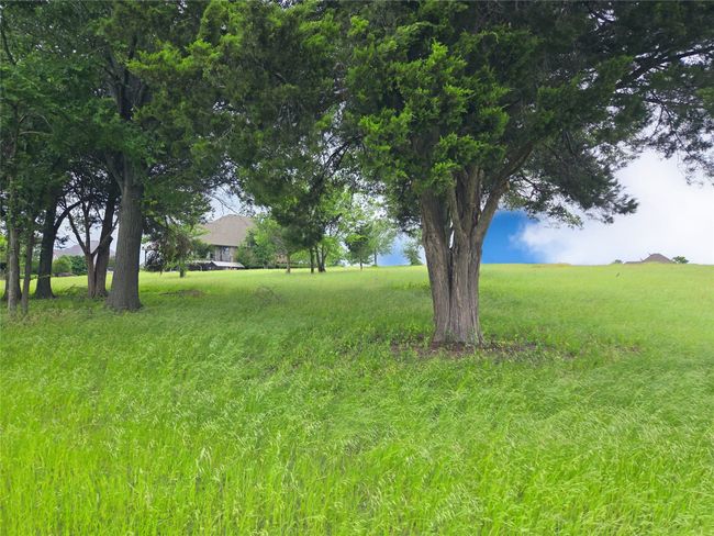 Lot 61 Open Water Way, Home with 0 bedrooms, 0 bathrooms and null parking in Streetman TX | Image 8