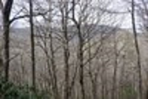 TBD High Gate Dr, Highlands, NC, 28741 | Card Image