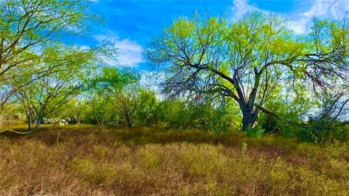 0 0 County Road 107, Runge, TX, 78151 | Card Image