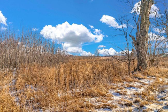 Ground view of property. | Image 7
