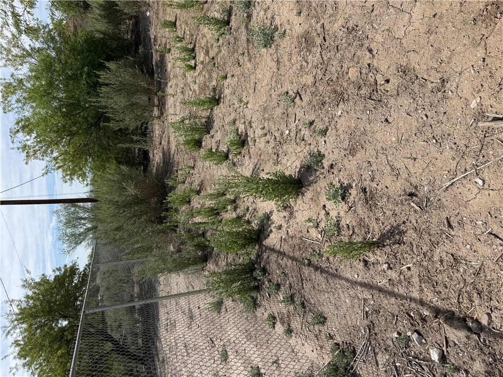 Land in Mohave Valley 5