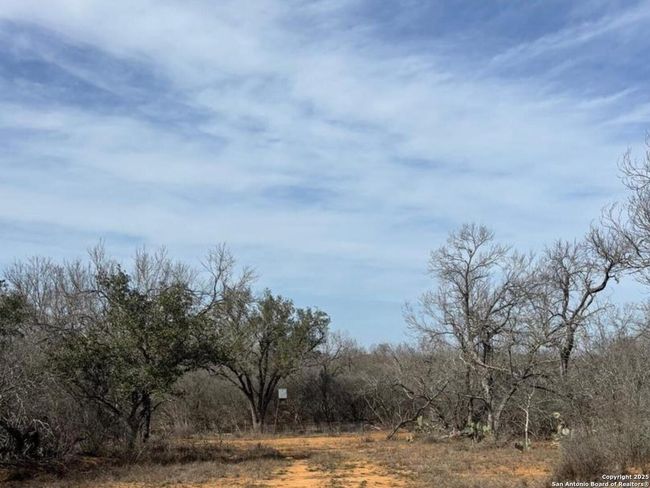946 County Road 2863, Home with 0 bedrooms, 0 bathrooms and null parking in Bigfoot TX | Image 13