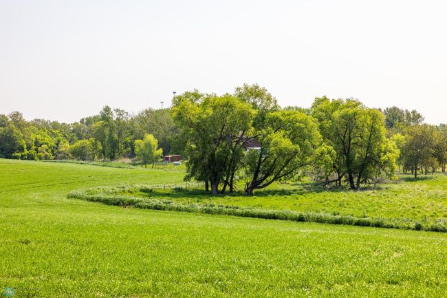 Amdak__Fosston MN - Land_0005.jpg | Image 6