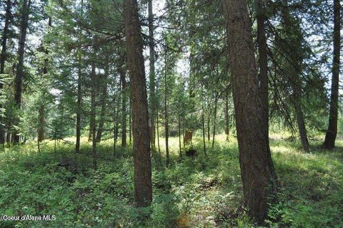39 Forest Ridge Rd, Blanchard, ID, 83804-0138 | Card Image