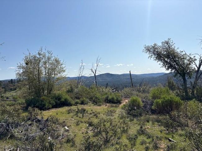 19292 Shawnee Trl, Home with 0 bedrooms, 0 bathrooms and null parking in Mokelumne Hill CA | Image 55